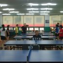 웰빙탁구 Daum카페