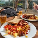 와일드짐 | 호주 시드니ㅣ시드니 시내 '와일드 라이프(WILD LIFE...코알라와 함께하는 아침 식사 내돈내산 추천 후기