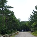 송전농장 이미지