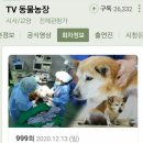 이번주에 1000회 방송 맞이하는 TV동물농장 이미지