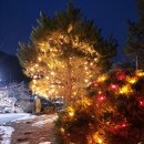 햇살가득농장펜션 이미지