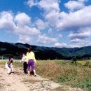 수연 - 창원시 의창구 도계로60번길 13 | 수연