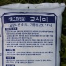 동해종묘사 네이버블로그