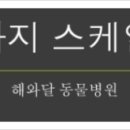 해와달동물병원 이미지