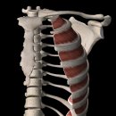 메이크 무브짐 이미지