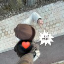 모자나라 | 군밤모자, 겨울모자 후기 굿나라 귀달이모자 출퇴근, 산책용 방한모자!