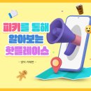 피키(piki) 이미지