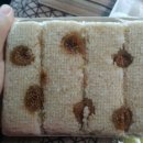 달빛아래쿵떡쿵떡 이미지