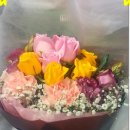 샤론의꽃 이미지