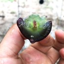 대방농원 이미지