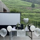 고사리맨션 이미지