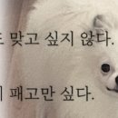 듀