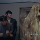 세상문화 이미지