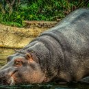 안하마을 이미지