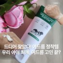 와프 | 초등학생 여드름 세안제 정착템! 와프랩 티 청소년 여드름 폼 클렌징 사용 후기