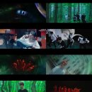 다원플라워
