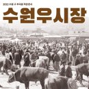 우시장 - 당진시 | 우시장