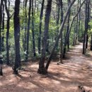 도시공원 행정사사무소 이미지