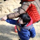 대관령 아기동물농장 이미지