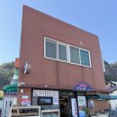 울릉도아리랑따개비칼국수 | 울릉도 맛집 직접 방문 후기: 우진이네, 태양식당따개비칼국수, 천금수산, 아리랑김밥, 비치온회센터