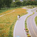 오산천 기호일보