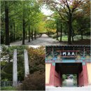 파란열차투어