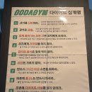 원빙고 | 고다짐, 고강도 다이어트 짐 운동 5~6주차 후기(빙고와 함께)