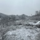 THE사랑 차반