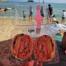 속초751샌드위치 이미지