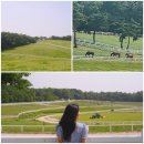 덕양목장2 이미지