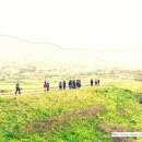 부춘농장 이미지
