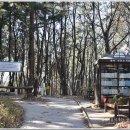 솔마루 작은도서관 이미지