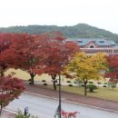 흥업축산 이미지