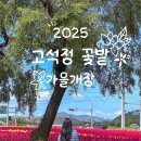 고석정광장 | 철원 고석정 꽃밭 가을 개장 후기
