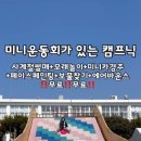강주학교캠프 이미지