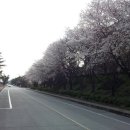 경북대학교 캠퍼스 이미지