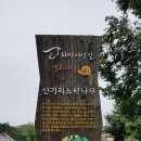 안대지천 3-1R | 31. 외씨버선 3길 김주영 客主 길 16.6km