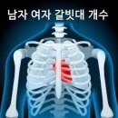 남자 여자 갈빗대 개수 이미지