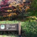 금강수목원 네이버블로그