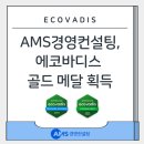 AMS경영컨설팅