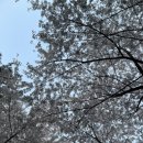 대승자동차공업사 이미지