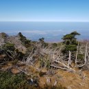 관음사 가는길 이미지