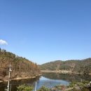 자작나무호텔 | 포천 카라반 청계호수 자작나무 숲 캠핑장 스파카라반 B 솔직후기