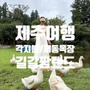 제동 | 제주맛집 각지불(강민경맛집) 솔직후기, 제동목장, 길갈팜랜드 묶어서 가기좋아요
