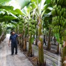 박진규농장 이미지