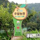 대림농장 이미지