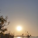 나로아라 이미지