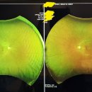 과천스마트안과의원 이미지