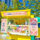 동부초등학교 이미지