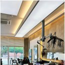 모모살롱 | 남자 머리도 감각적으로, 광교미용실 광교 모모살롱 후기